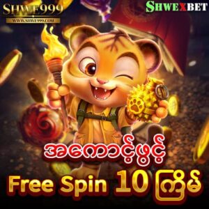 shwe999